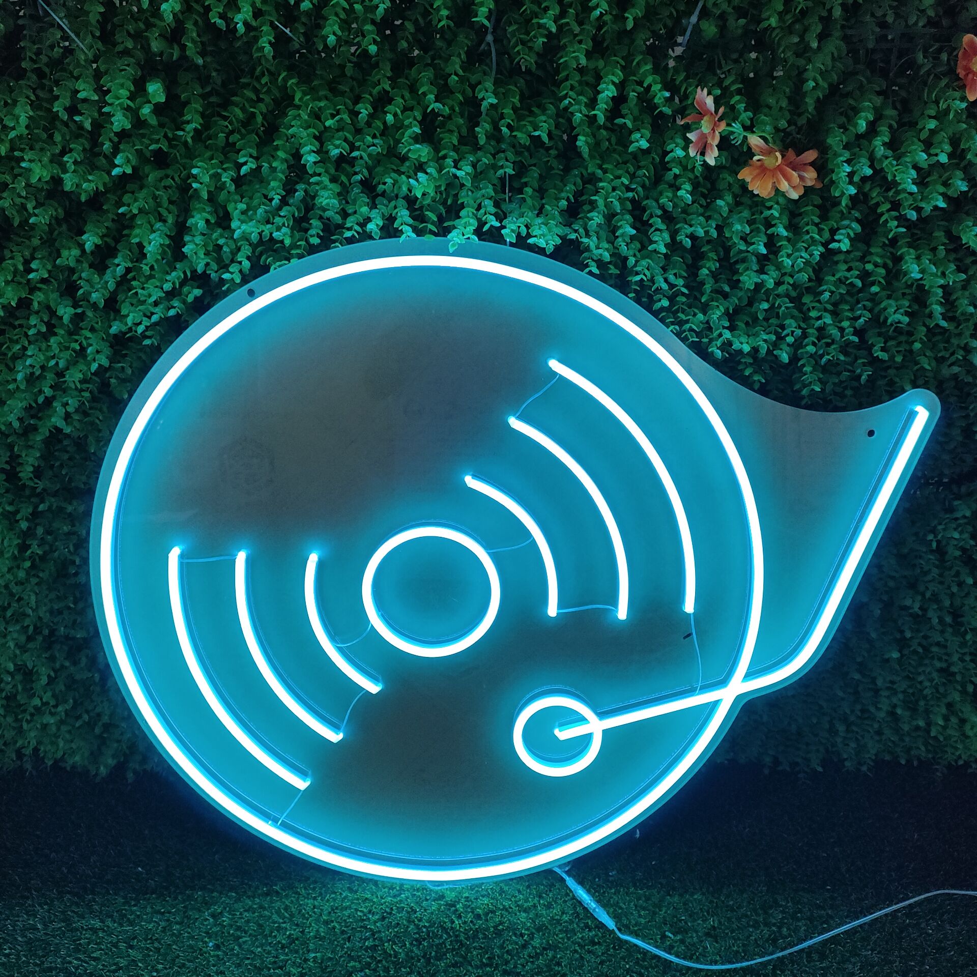 vinyl disc DJ neon